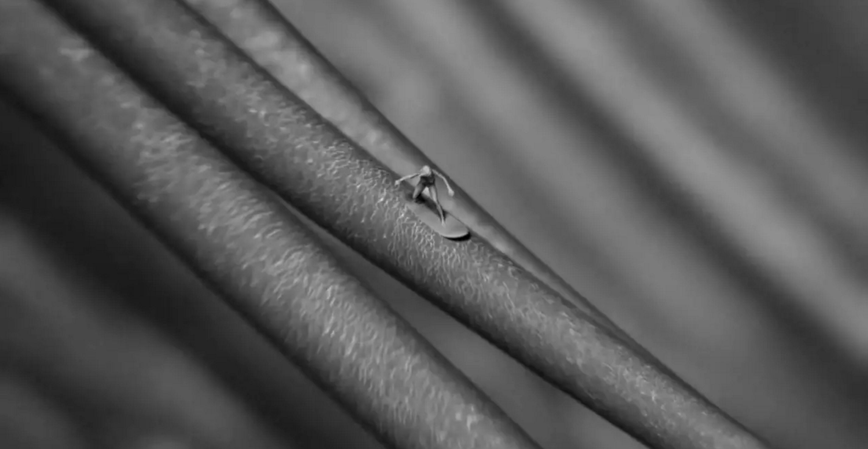 Eyelash Surfer — Eyelash Surfer Jonty Hurwitz and Yifat Davidoff 2.png