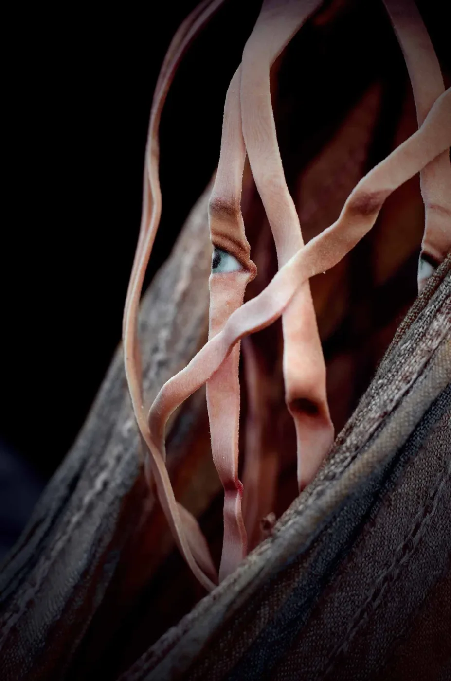 The Lost Elf's MetaEgo