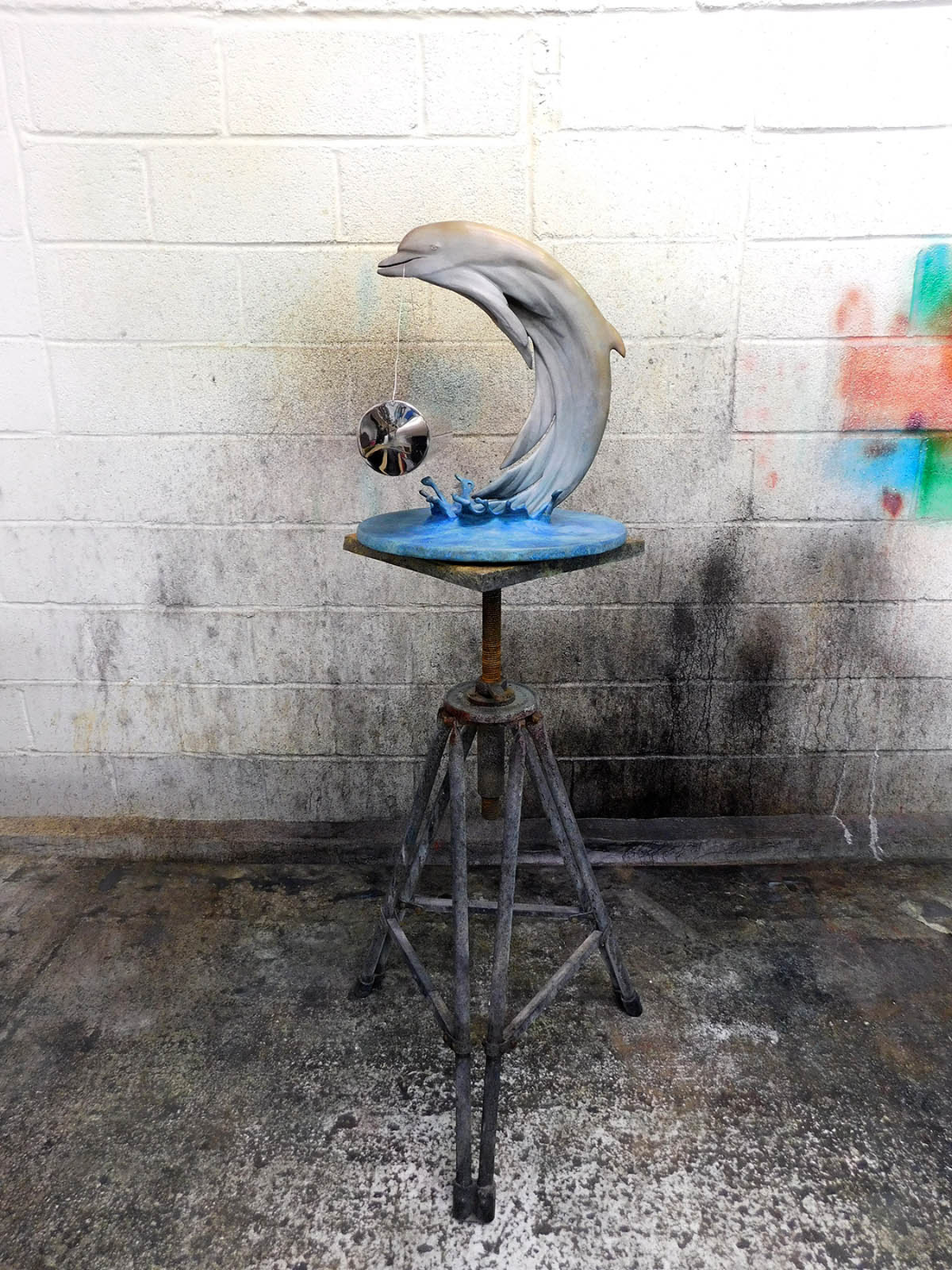 Conciseness (dolphin)