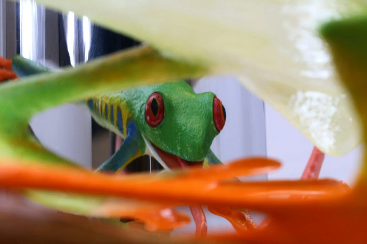 Alchemy - Leaping Frog