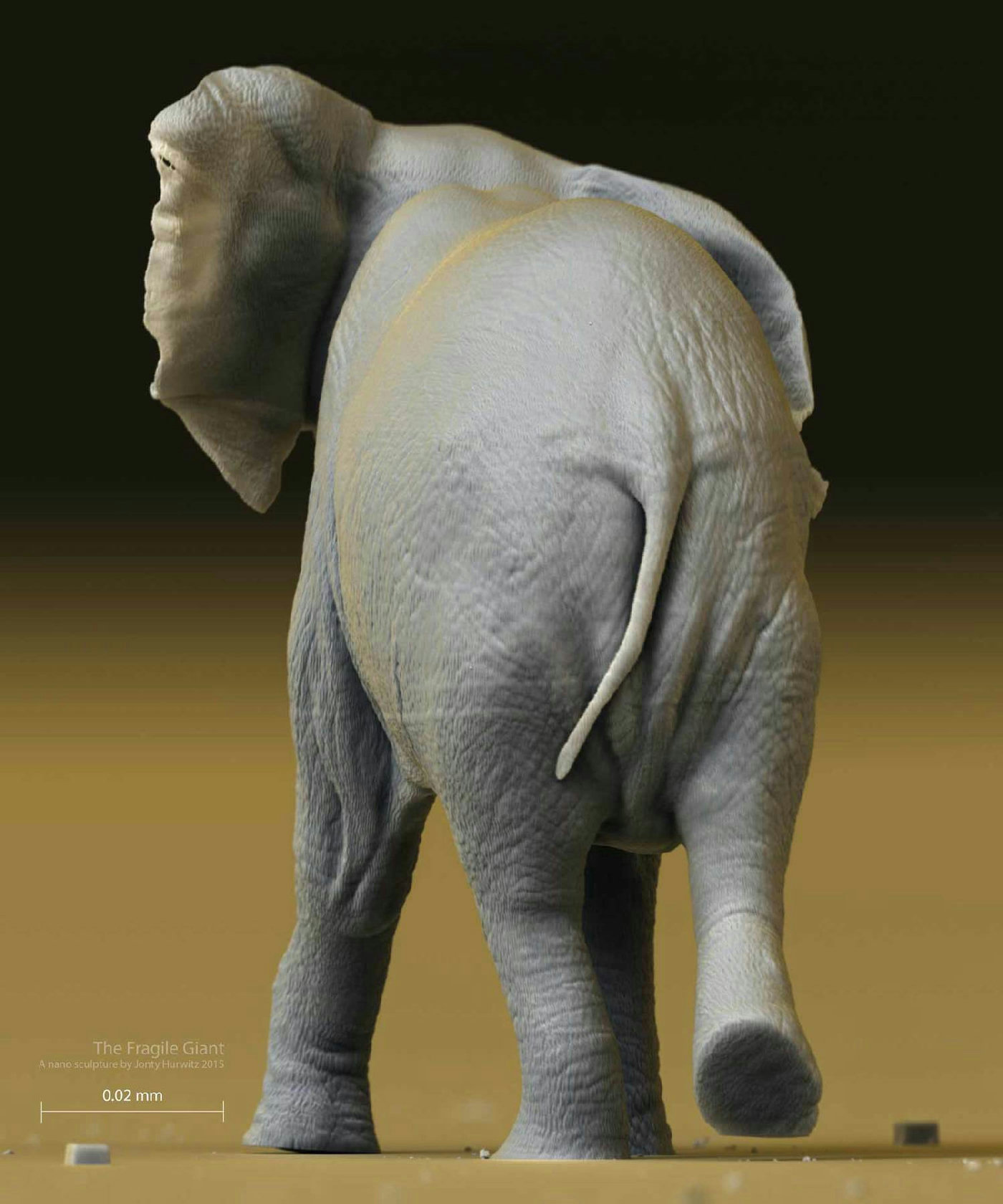 The Fragile Giant