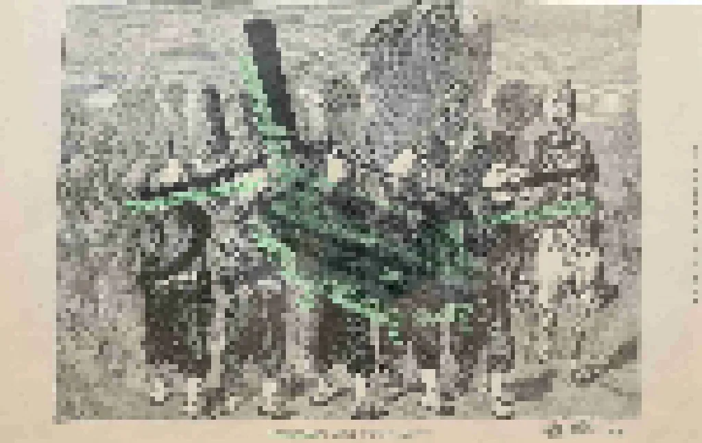 Afghan War (Chinook)