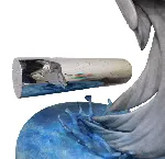 Conciseness (dolphin)