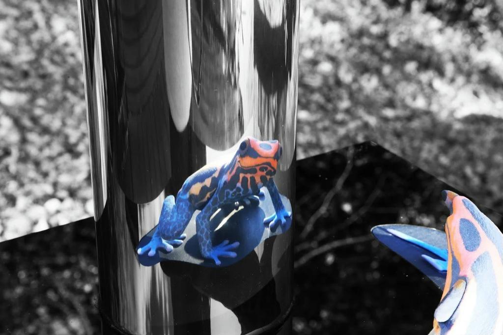 D'Art Frog — Dart_Frog_Jonty_Hurwitz.jpg