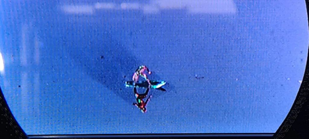 Eyelash Surfer — 6180a7b5-11a6-4709-8410-046dc3d851c7.jpg