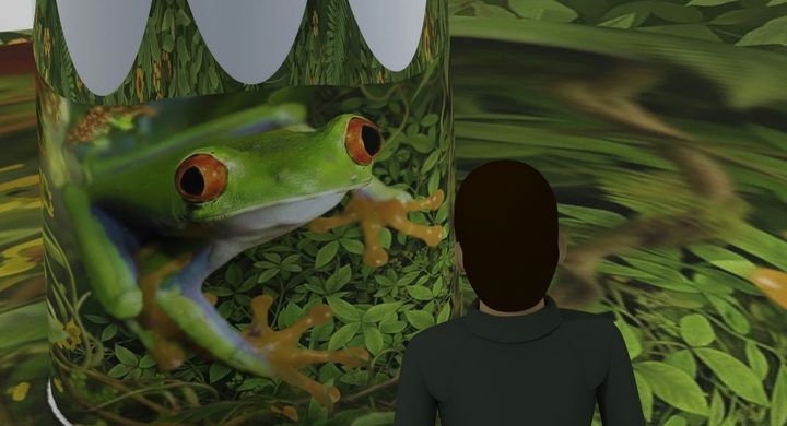 The Jungle Secret — 650_cyl__1__720.jpg
