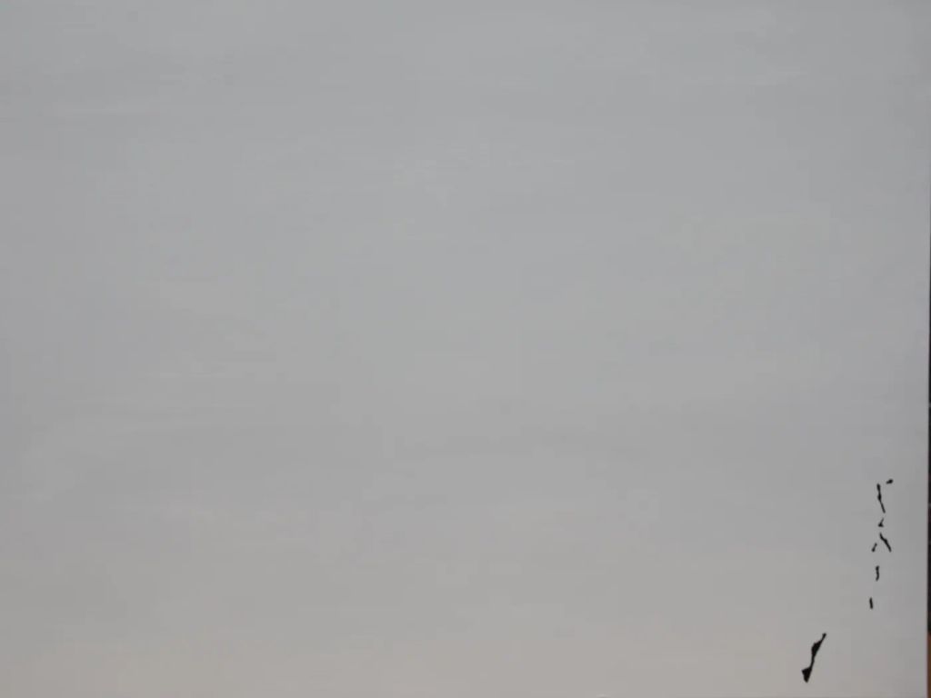 The Undressed Light — 2W6A5544.JPG