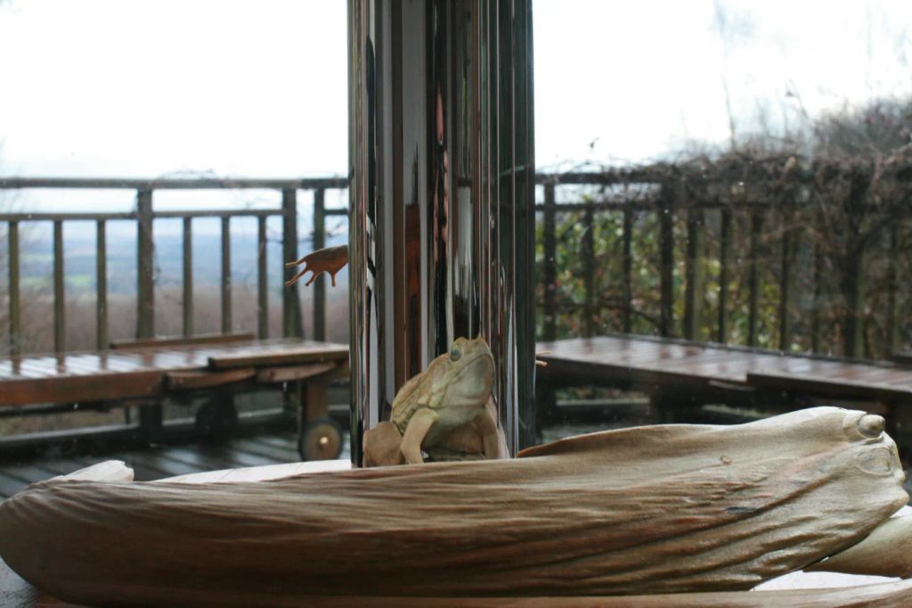 Kiss of Chytrid (with the kiss) — Jonty_Hurwitz_Chytrid_9.JPG
