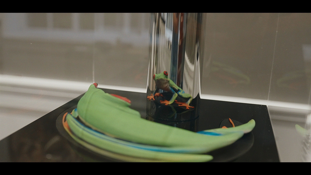 Pura Vida: Red Eyed Tree Frog — Pura Vida: Red Eyed Tree Frog Jonty Hurwitz and Yifat Davidoff 2.png