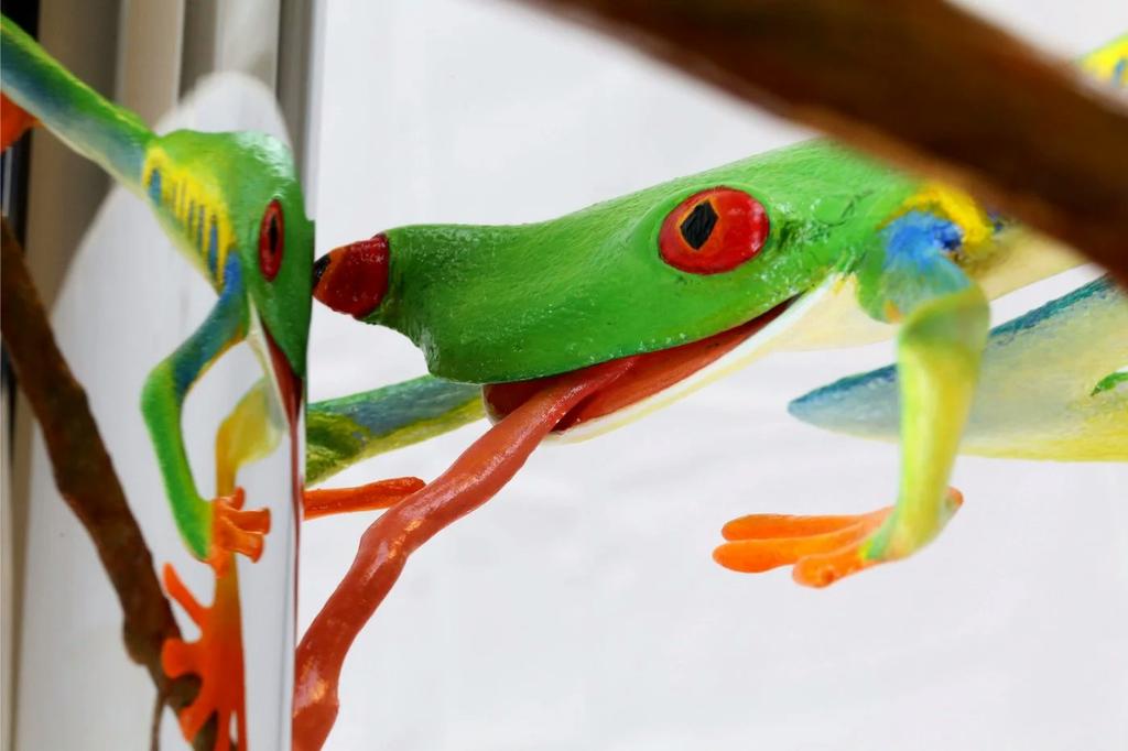 Alchemy - Leaping Frog — IMG_2215.jpg