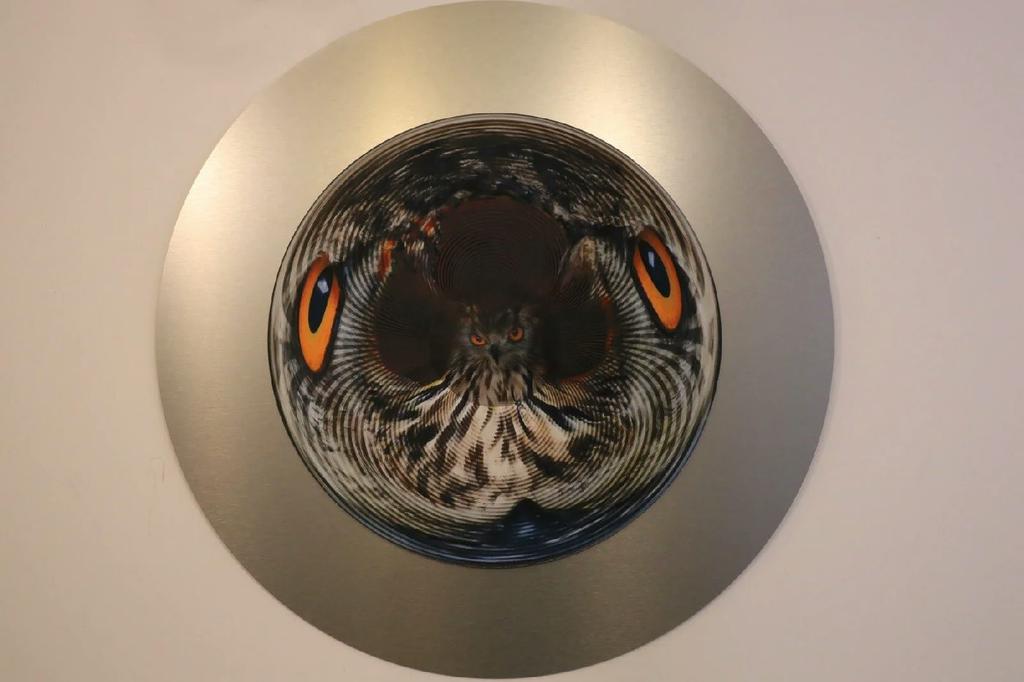 Owl: I see, I see — Owl_Cone_Anamorph_Jonty_Hurwitz_1.jpg