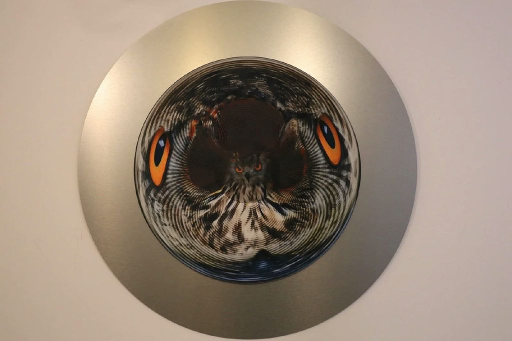 Owl: I see, I see — Owl_Cone_Anamorph_Jonty_Hurwitz_1.jpg
