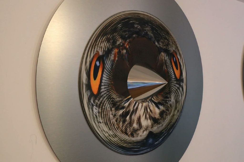 Owl: I see, I see — Owl_Cone_Anamorph_Jonty_Hurwitz_2.jpg