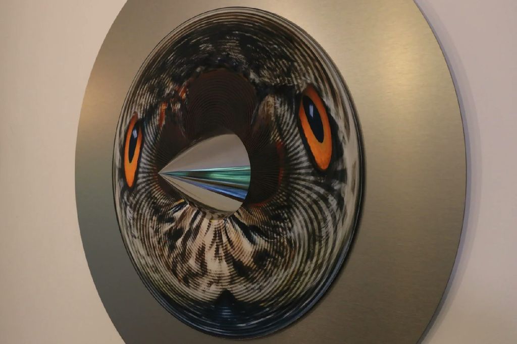 Owl: I see, I see — Owl_Cone_Anamorph_Jonty_Hurwitz_3.jpg