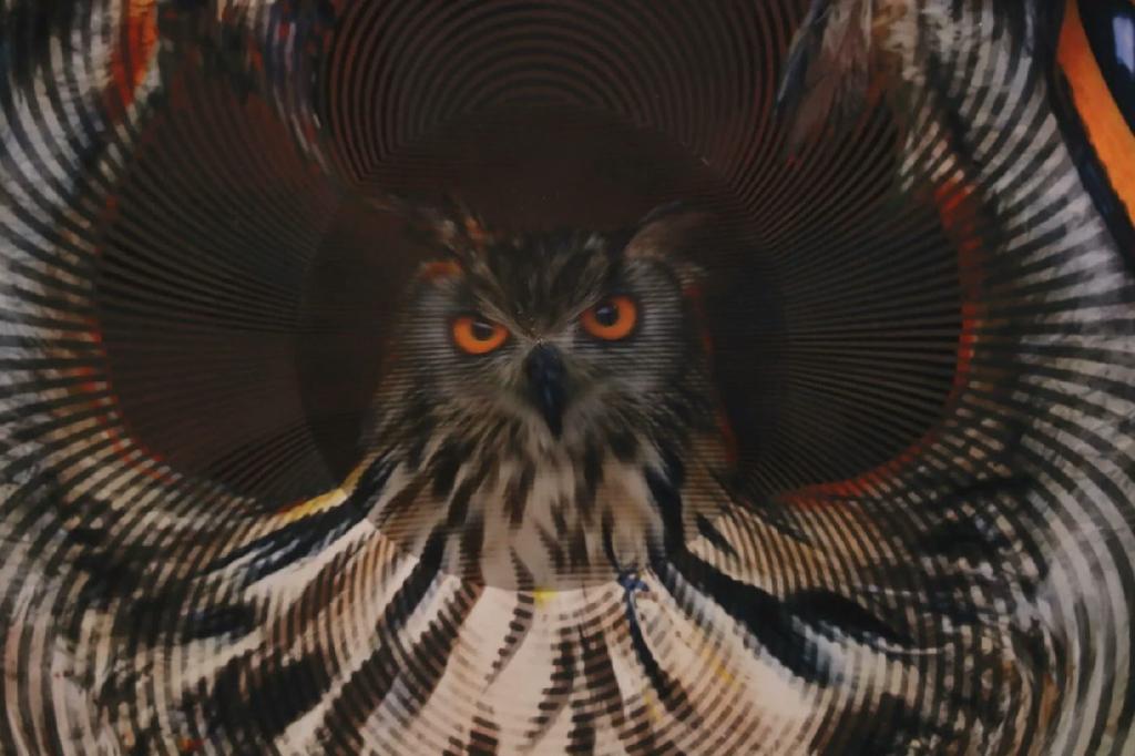 Owl: I see, I see — Owl_Cone_Anamorph_Jonty_Hurwitz_5.jpg