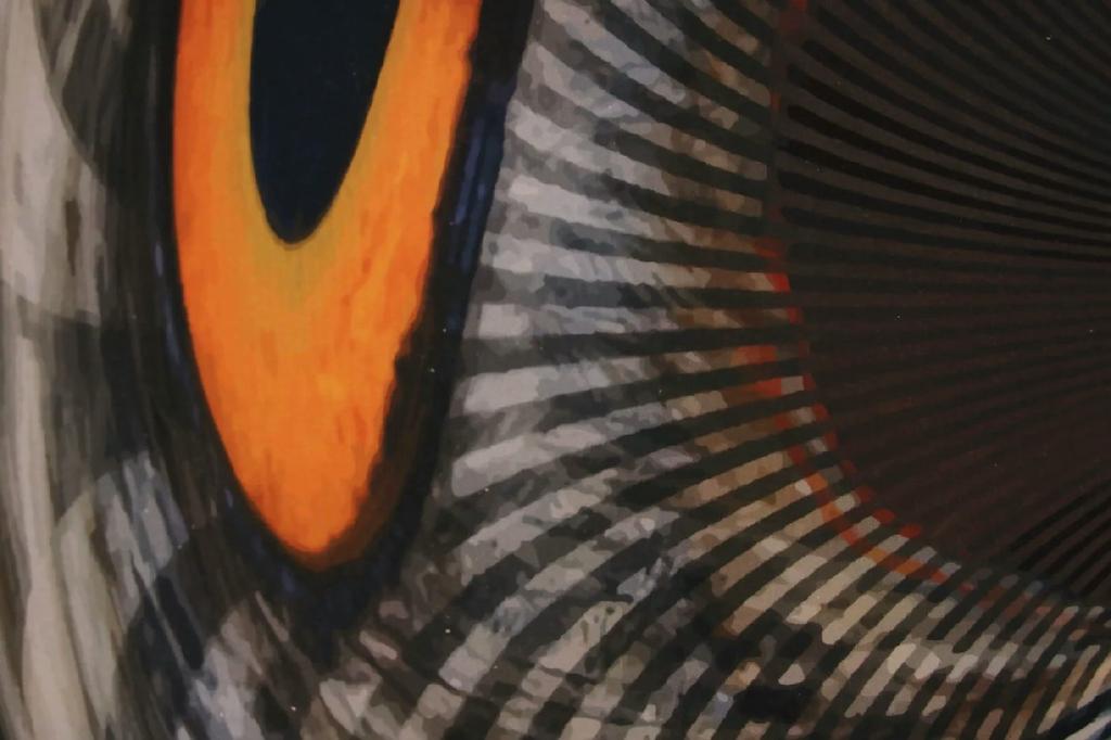 Owl: I see, I see — Owl_Cone_Anamorph_Jonty_Hurwitz_7.jpg