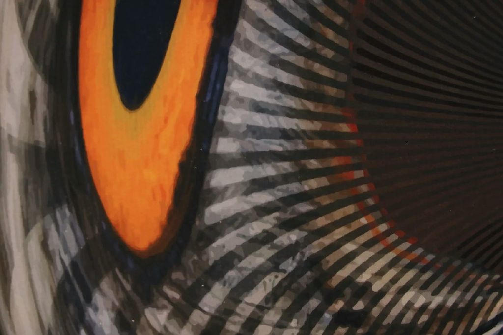 Owl: I see, I see — Owl_Cone_Anamorph_Jonty_Hurwitz_7.jpg