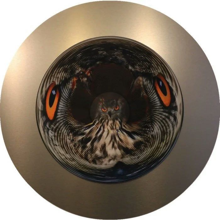 Owl: I see, I see — WFM_3588.jpg