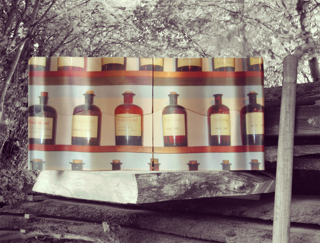 Sinusoidal Perfume — Sinusoidal+perfume+In+the+woods.png