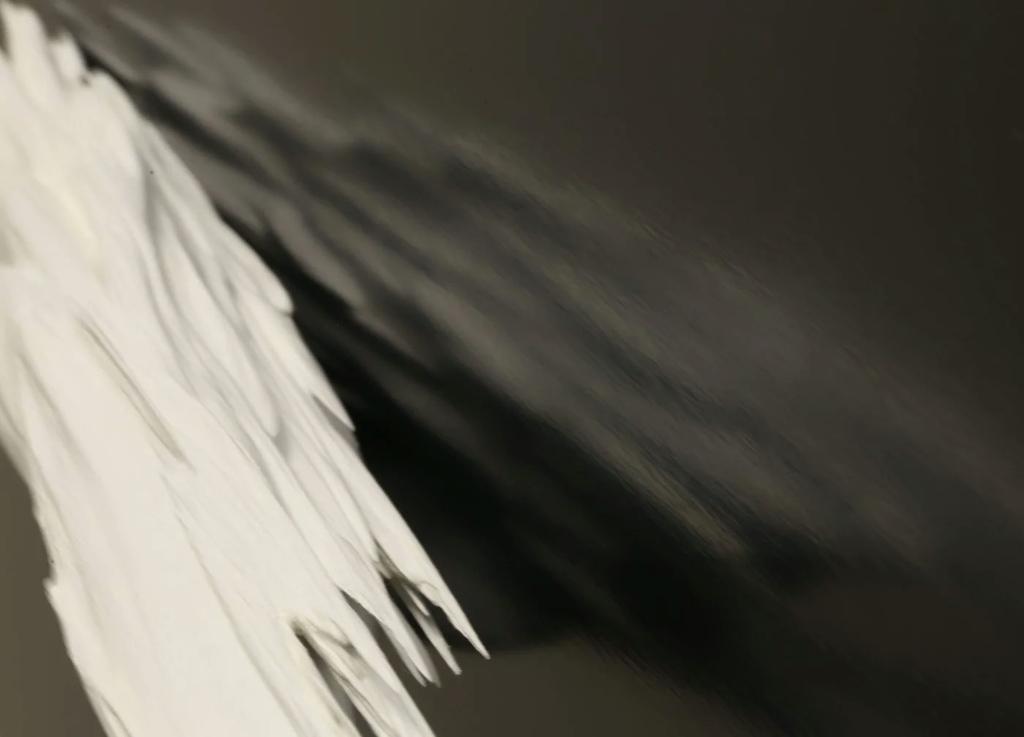 No way José (Oblique Steed) — No+way+Jose+-+jonty+hurwitz+-+web+res+5.jpg