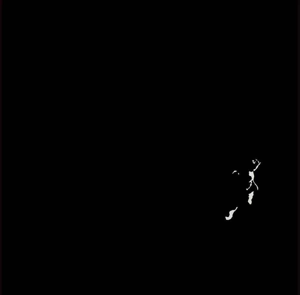 Faces of the Moon — Faces5detail.jpg