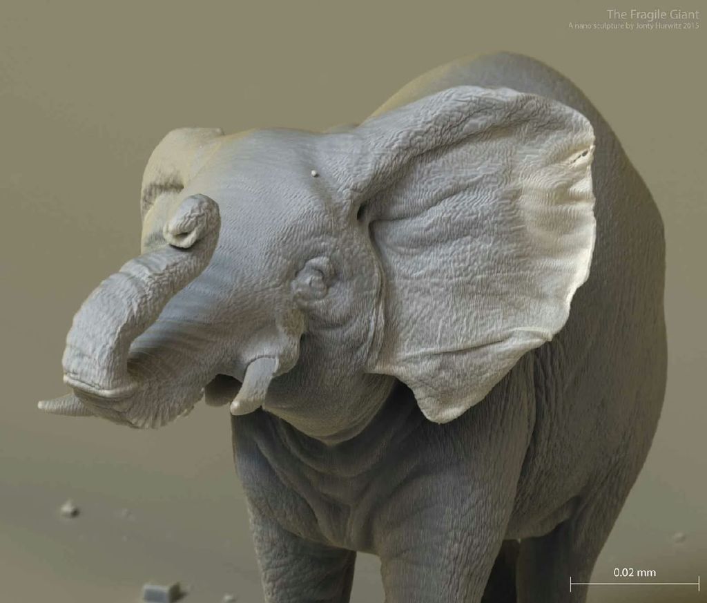Fragile Giant — elephant_0206_4k_3m.jpg