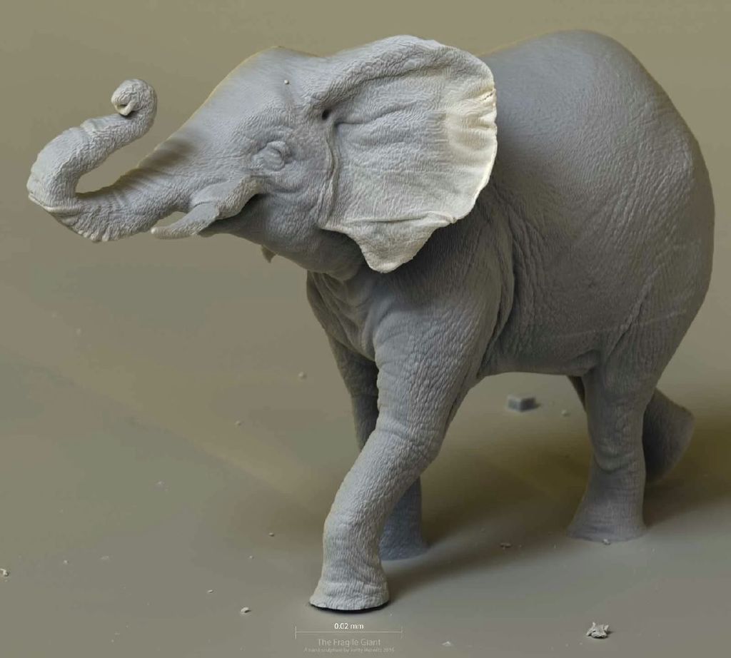 Fragile Giant — elephant_0206_6k_1.jpg