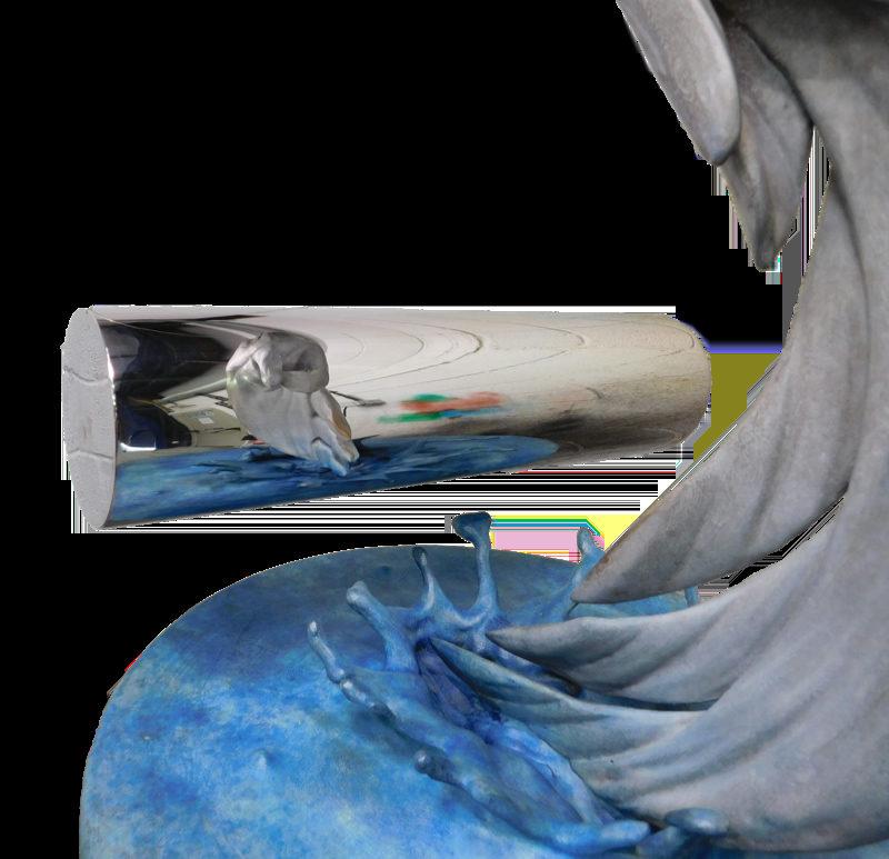 Conciseness (dolphin) — Dolphin-Jonty-Hurwitz-2.jpg