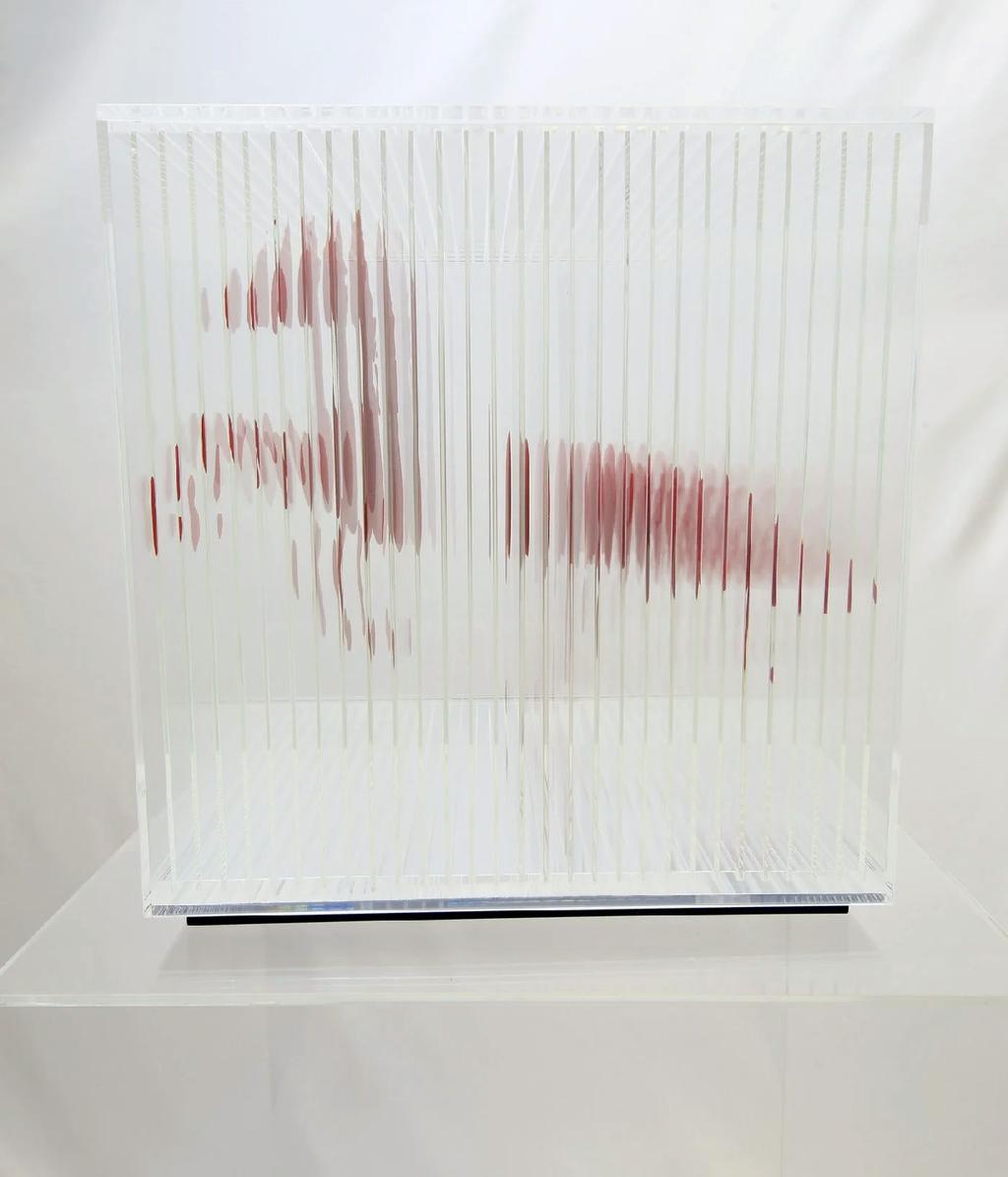 Flicker of Form — IMG_2279_result.jpg