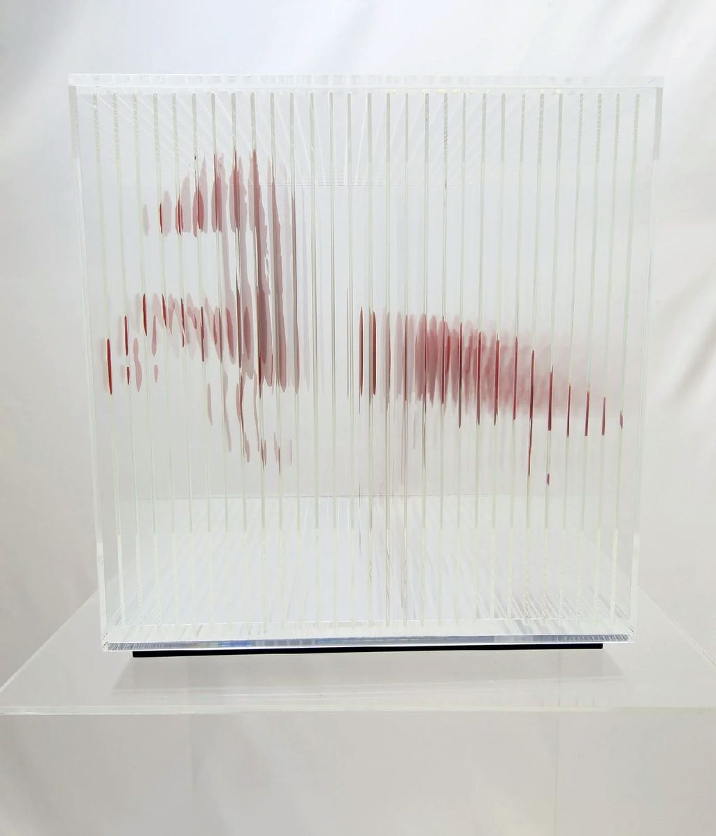 Flicker of Form — IMG_2279_result.jpg