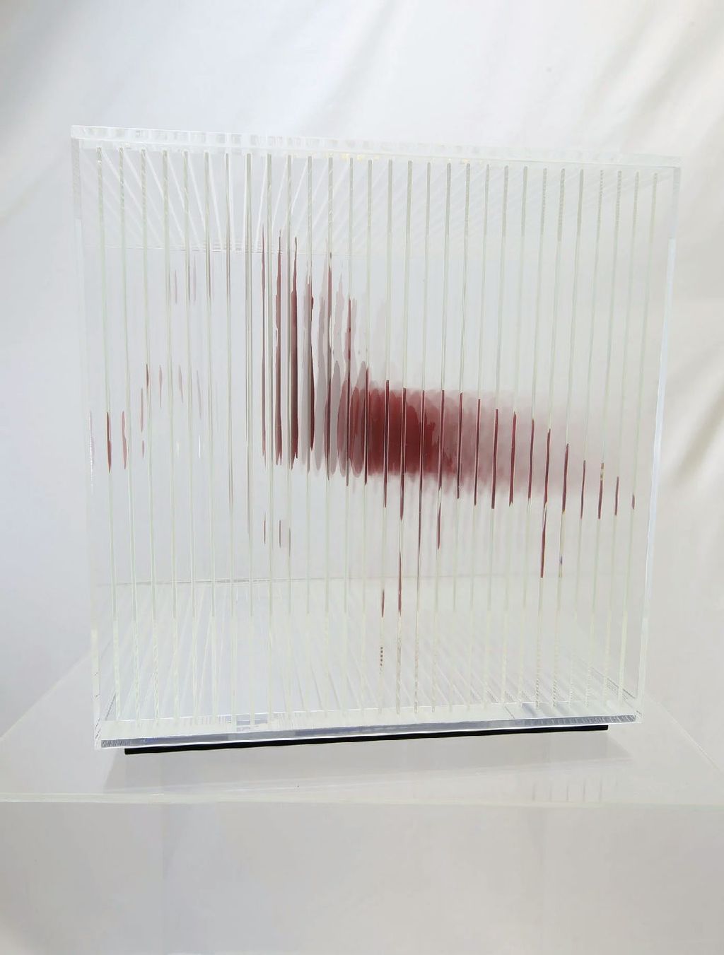 Flicker of Form — IMG_2280_result.jpg