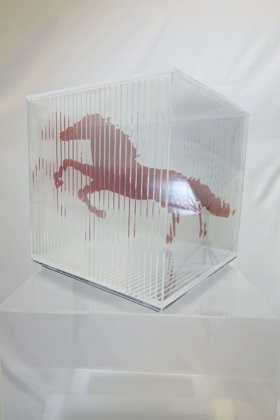 Flicker of Form — IMG_2275_result.jpg