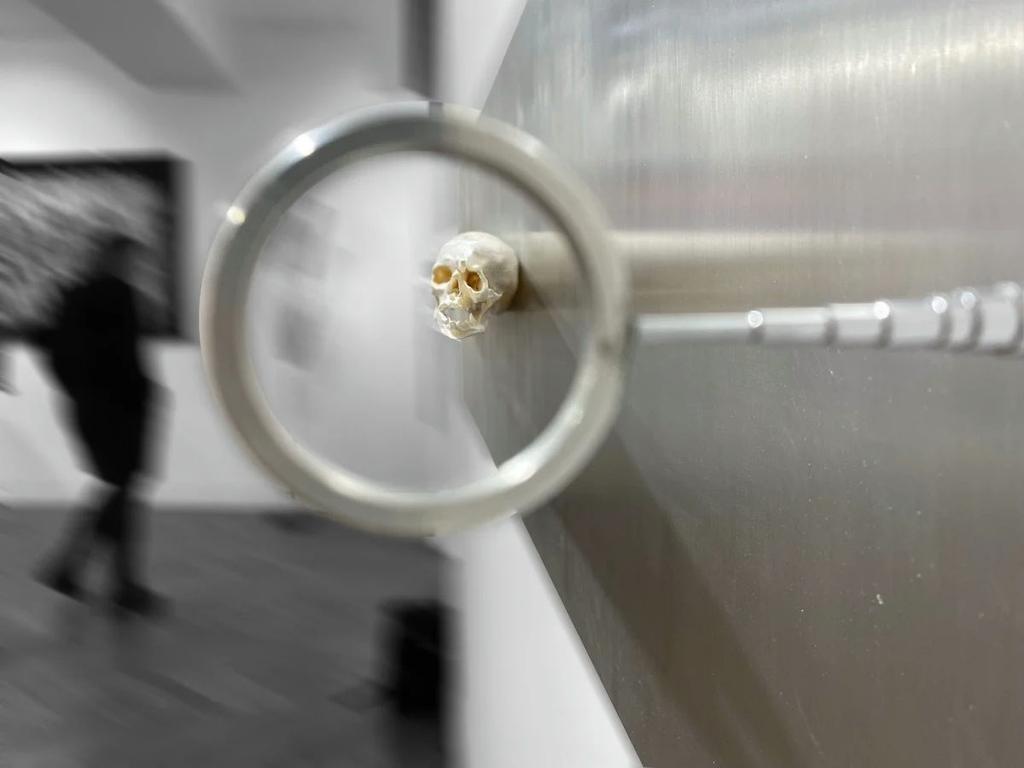 What Do You Believe? — What+do+you+believe+-+jonty+hurwitz+5.jpg