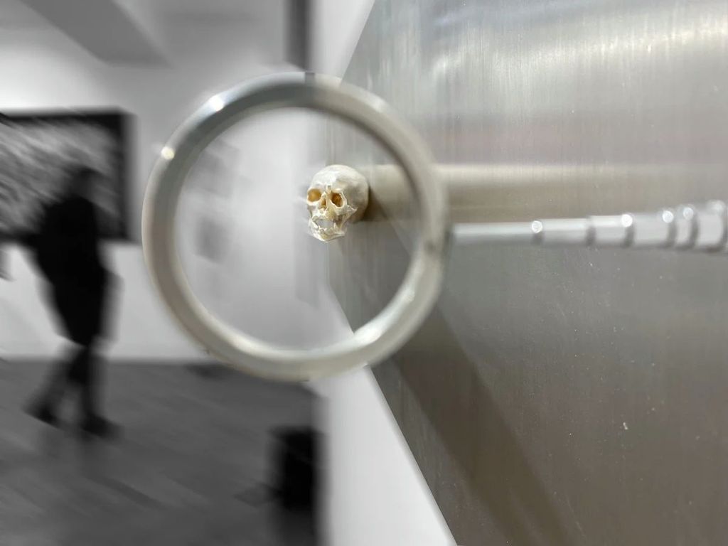 What Do You Believe? — What+do+you+believe+-+jonty+hurwitz+5.jpg
