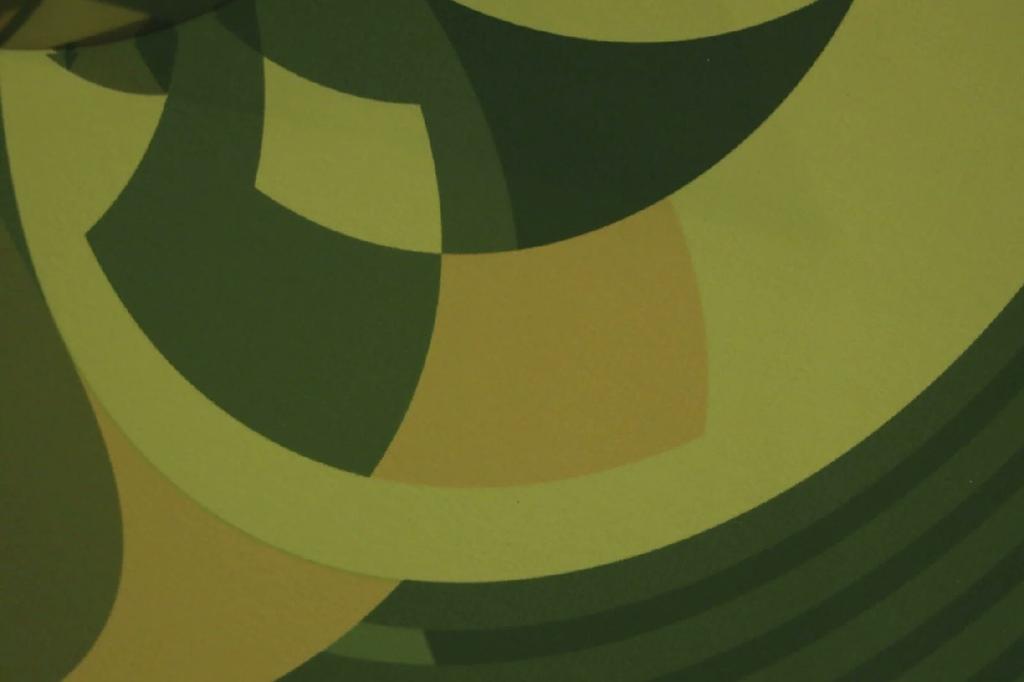 African Mask: Gunnera — gunnera_Cone_Anamorph_Jonty_Hurwitz_5.jpg