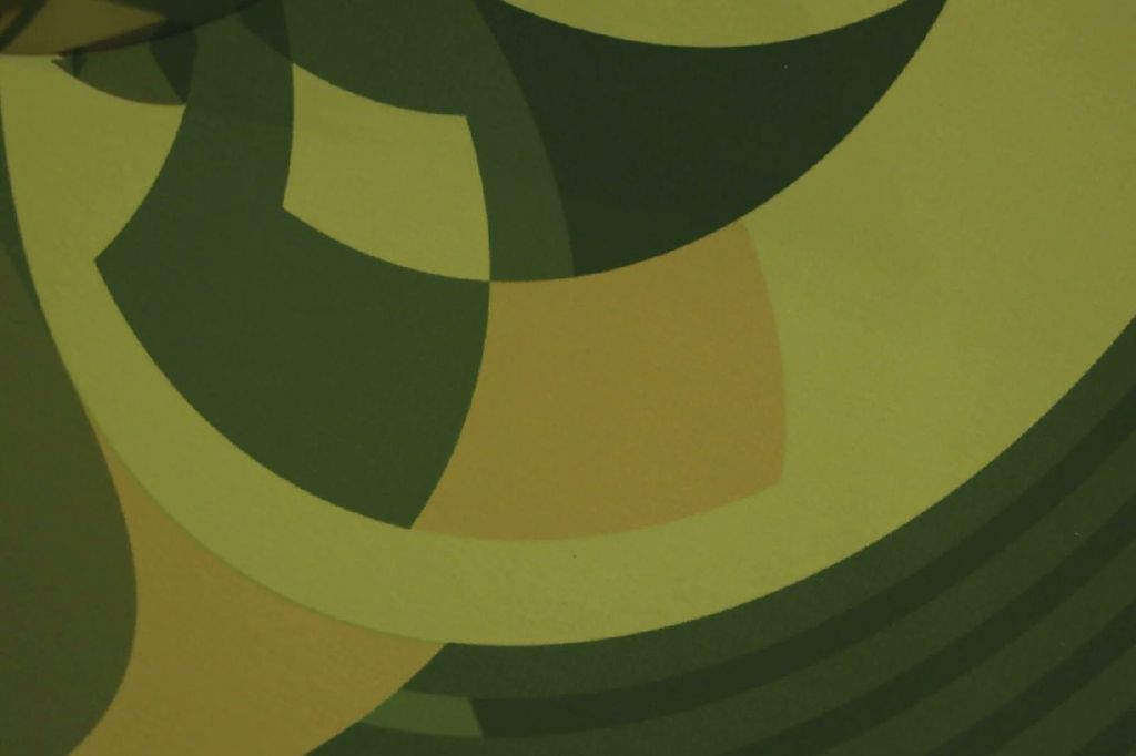African Mask: Gunnera — gunnera_Cone_Anamorph_Jonty_Hurwitz_5.jpg