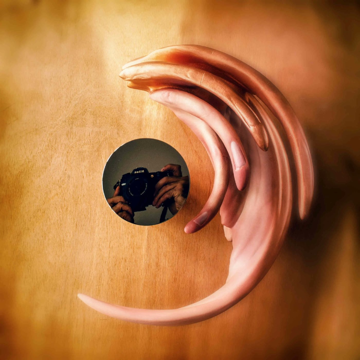 Jonty Hurwitz & Yifat Davidoff, The Urgent Need to be Remembered, Copper, Oil Paint And Stainless Steel, 2017