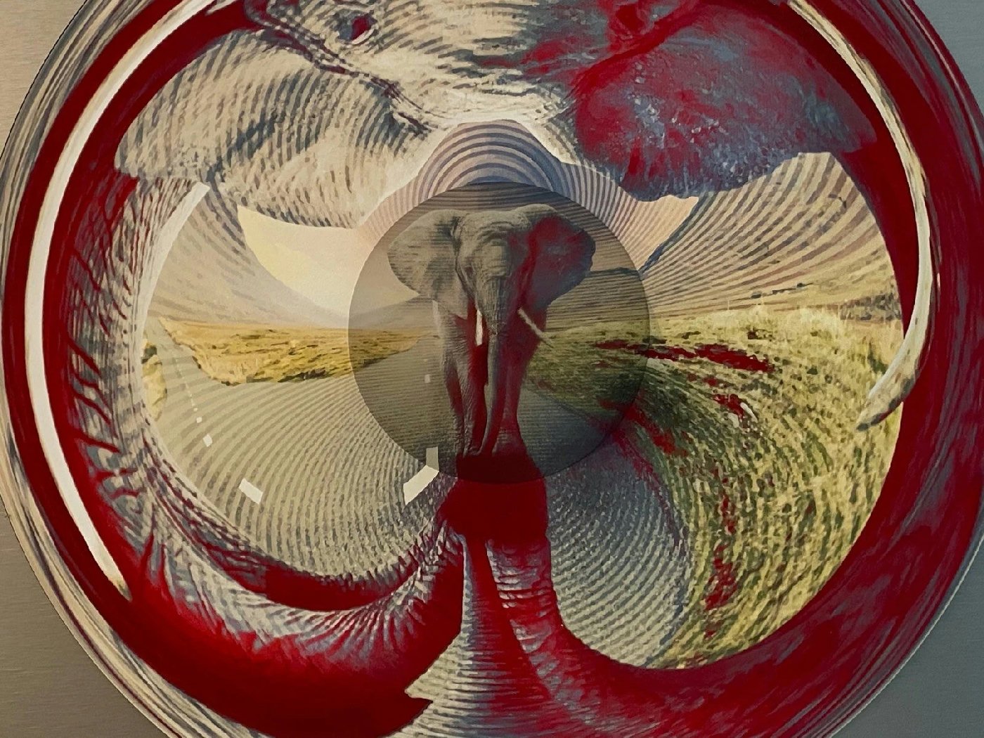 Jonty Hurwitz & Yifat Davidoff, Elephant: Journey of the Vanishing Giant, Stainless Steel, Aluminium, Cotton Paper & Ink, 2020
